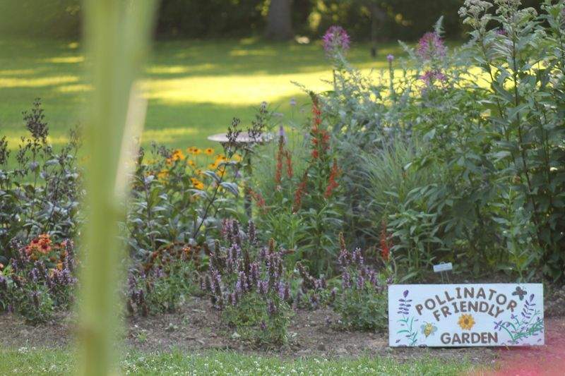 Jardins Harmonie Provence 10